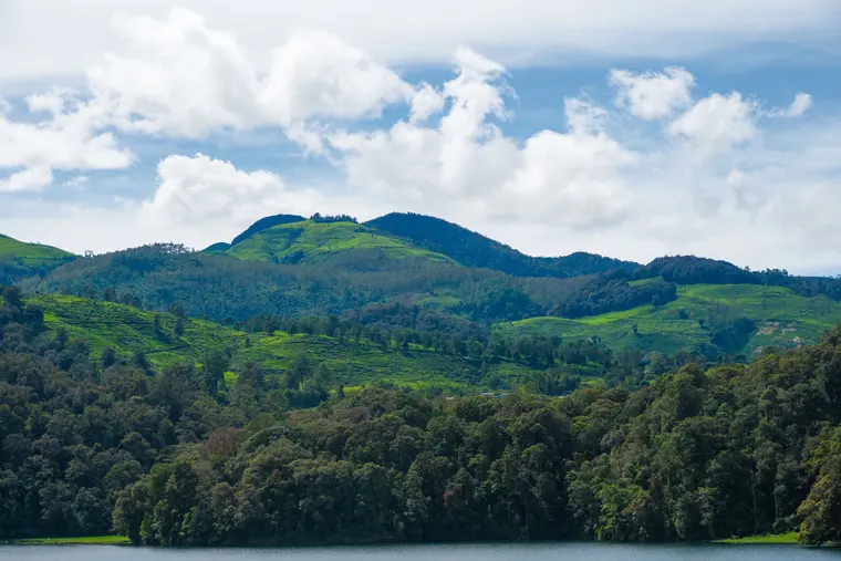 Echo Point Munnar